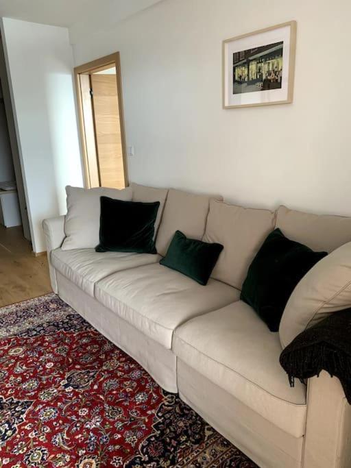 Apartman Zaly 贝内茨科 外观 照片